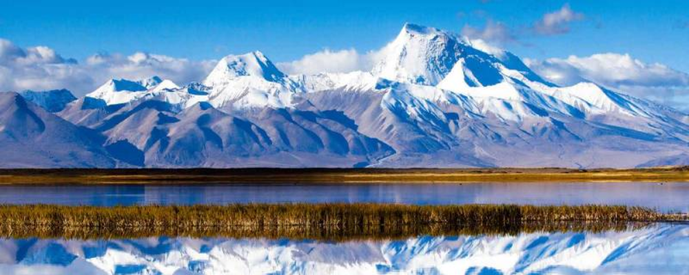 Monique  Friederichs