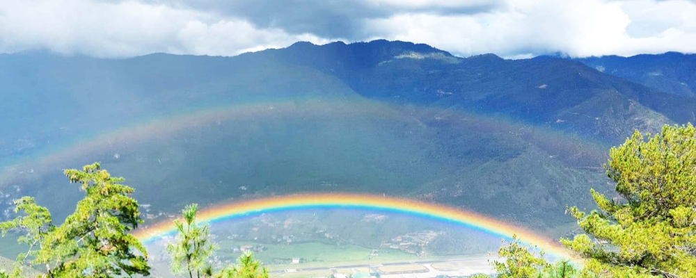 Andrea Alexandra M. Günter