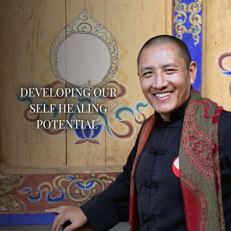 Developing our Self Healing Potential | WORKSHOP