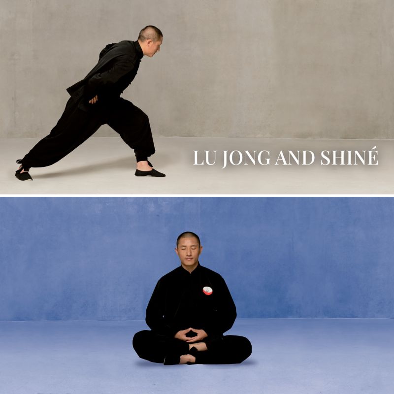 Lu Jong - Tibetan Healing Yoga and Shiné  Meditation | RETREAT