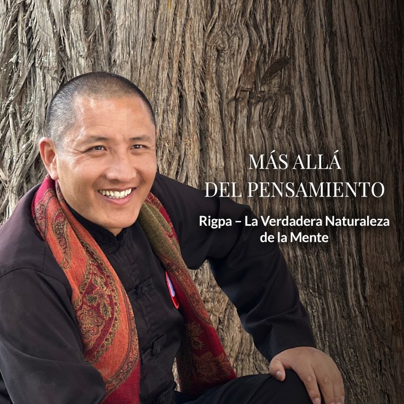 Más Allá del Pensamiento (Rigpa – La Verdadera Naturaleza de la Mente) | SEMINARIO INTENSIVO