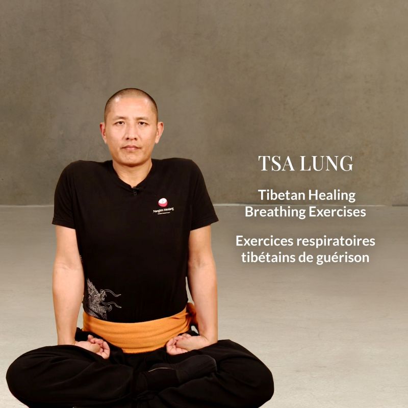 Tsa Lung – Tibetan Healing Breathing Exercises INTENSIVE SEMINAR | Tsa Lung – Exercices respiratoires tibétains de guérison SÉMINAIRE INTENSIF