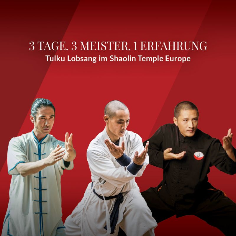 3 Tage. 3 Meister. 1 Erfahrung. | TULKU LOBSANG IM SHAOLIN TEMPLE EUROPE