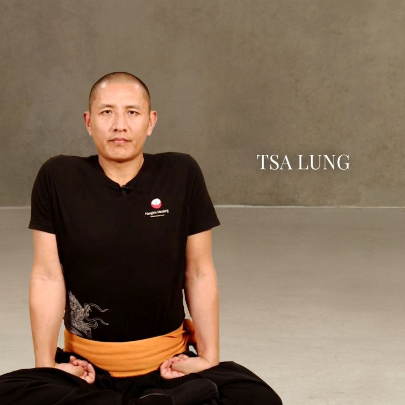 PRE-ANNOUNCEMENT Tsa Lung | ONLINE LIVE RETREAT